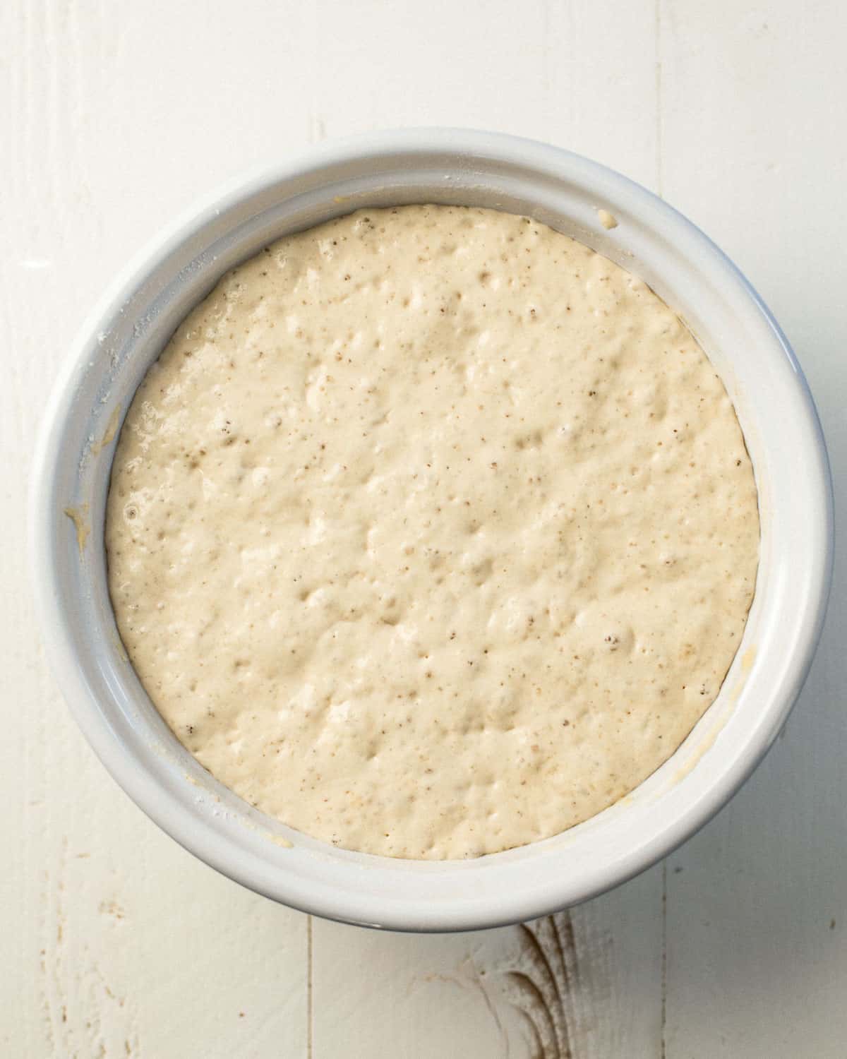 bagel sponge rising in a bowl