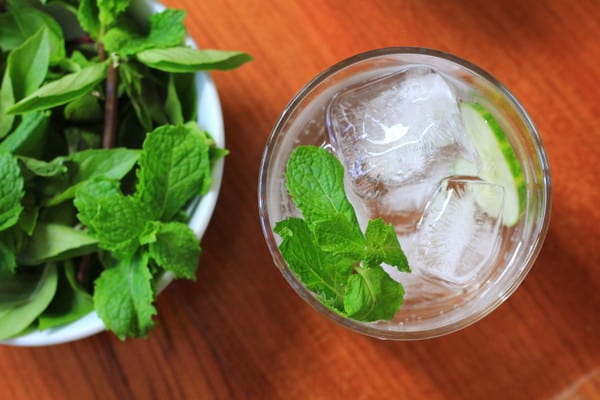 Cucumber, Mint, and Basil Soda