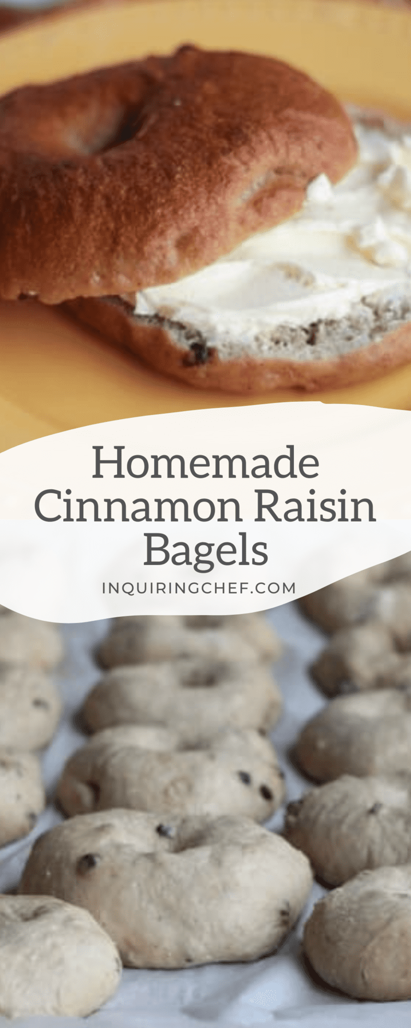 homemade cinnamon raisin bagels graphic