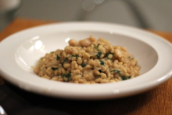 barley risotto in a white bowl on a dark wood table