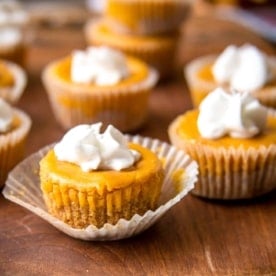 Pumpkin Cheesecake Bites topped with whipped cream