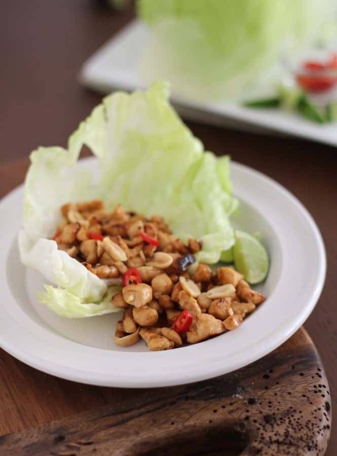 lettuce leaves and chicken on a white plate