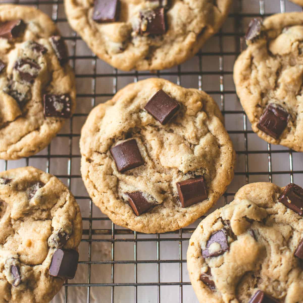 overhead image of peanut butter cookies on a wire cooling rack