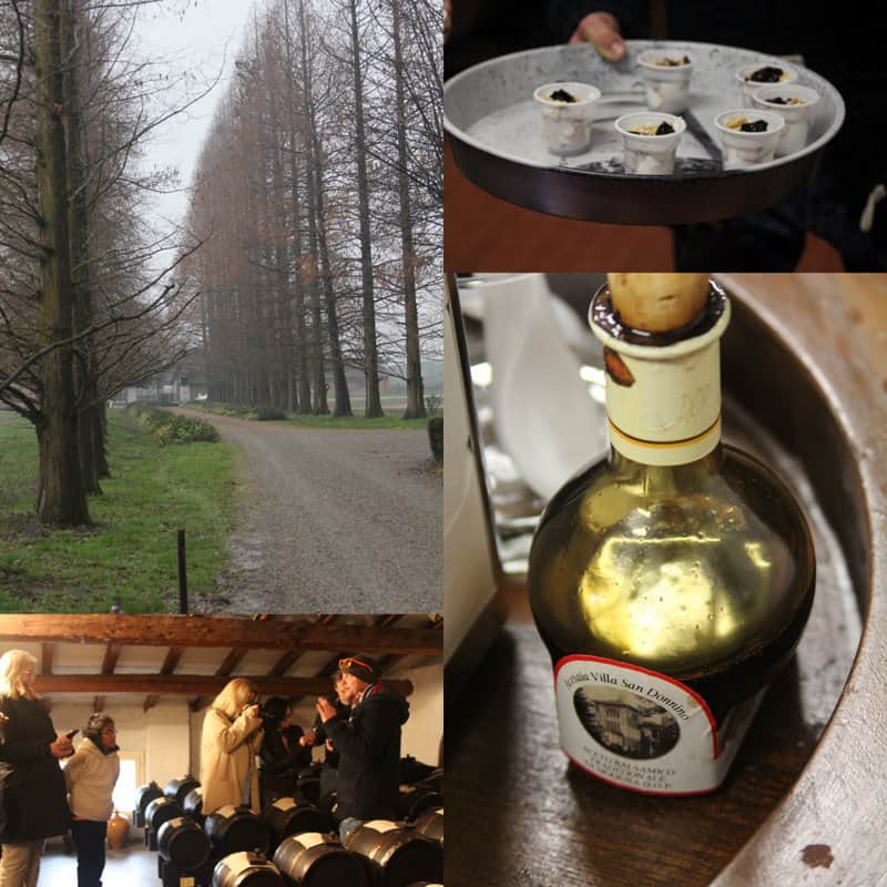 Balsamic Vinegar Modena