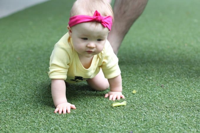 Molly_One Year Crawling