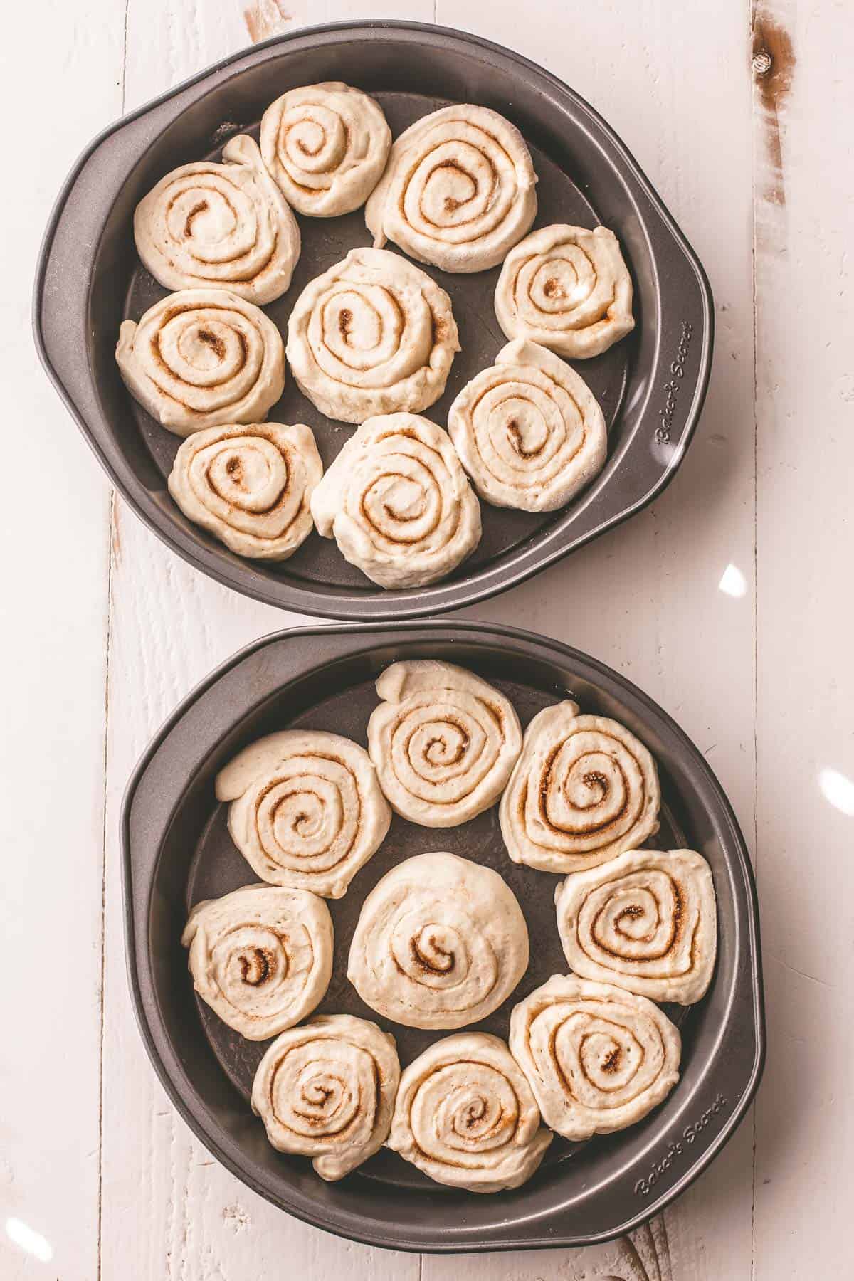 rolled uncooked cinnamon rolls in a round baking pan