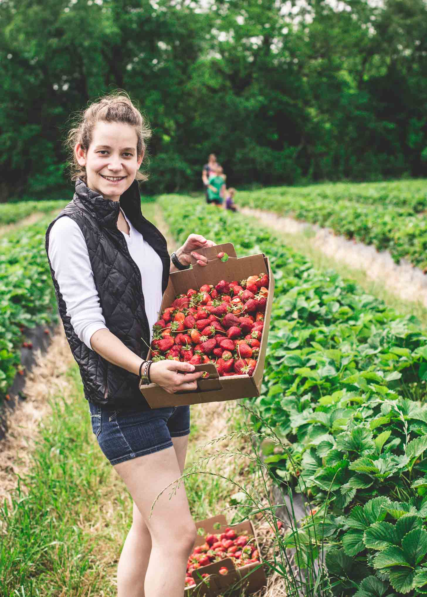 Wohletz Farm Strawberries