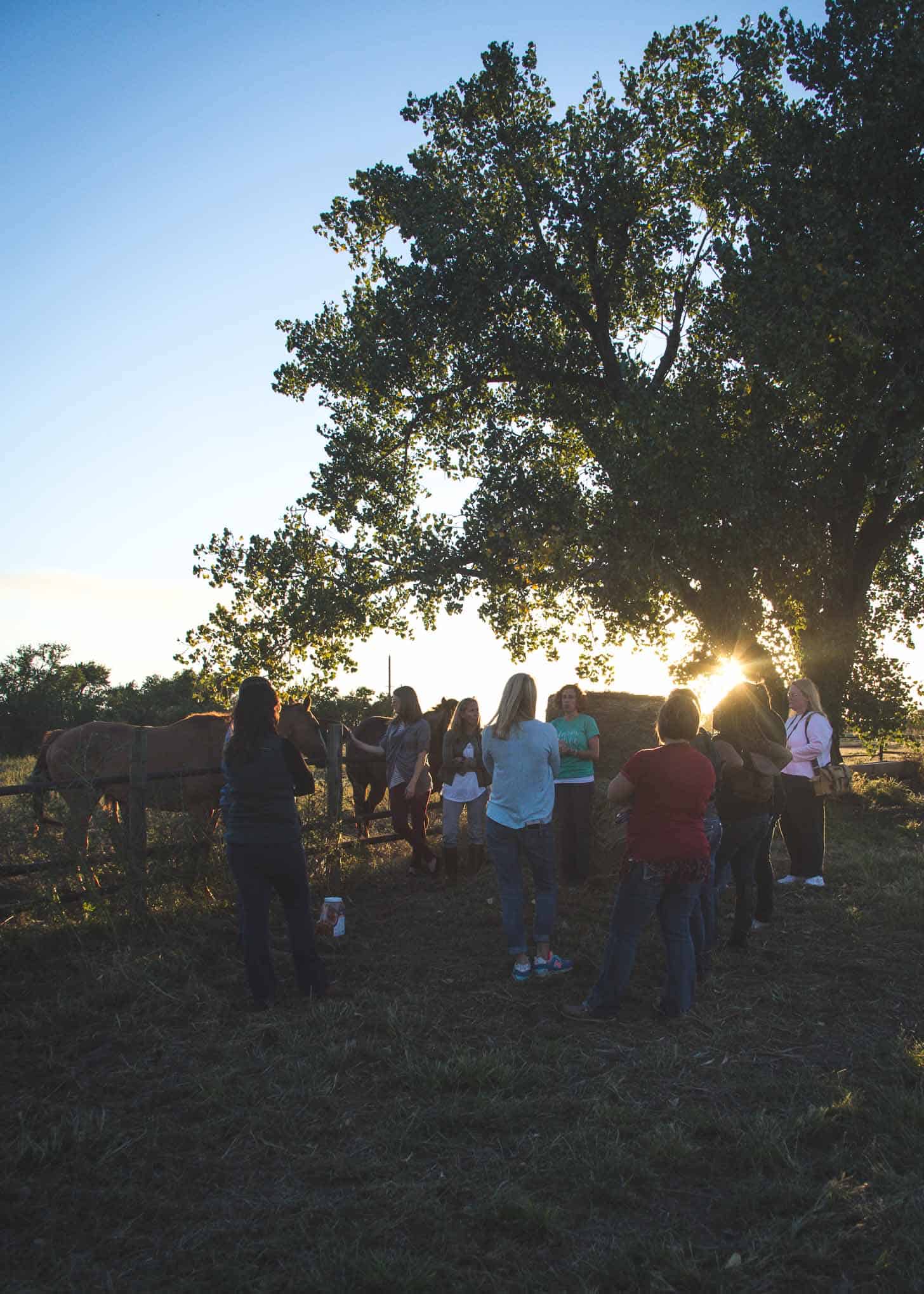 Kansas Farms #farmfoodtour