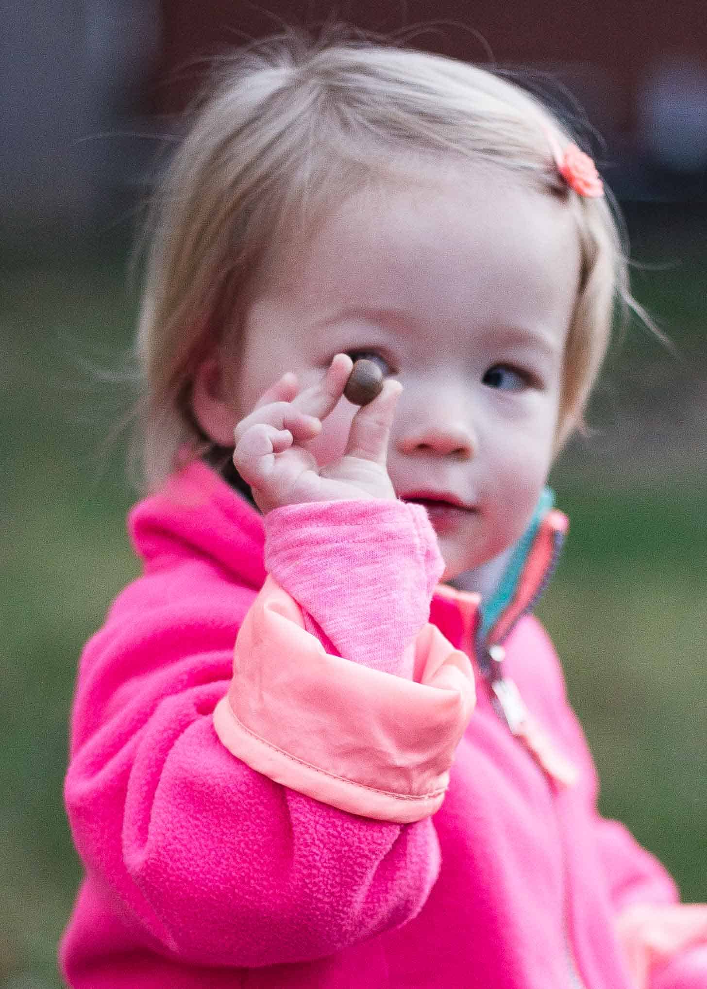 Molly collecting acorns