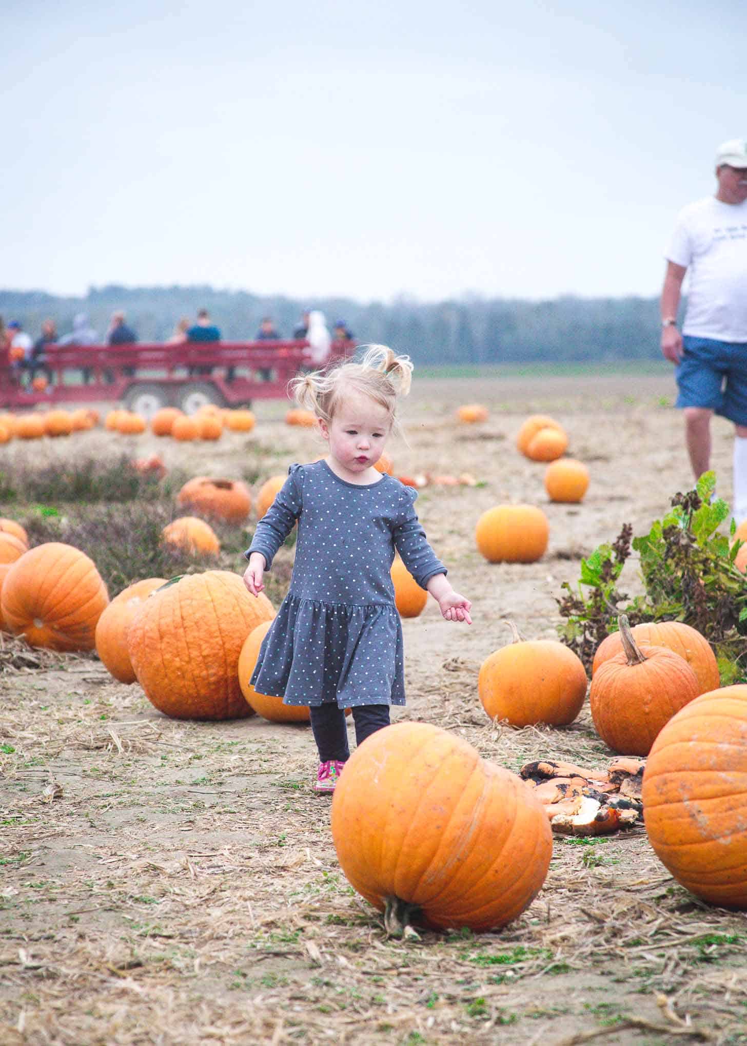 Clara_Pumpkin Patch