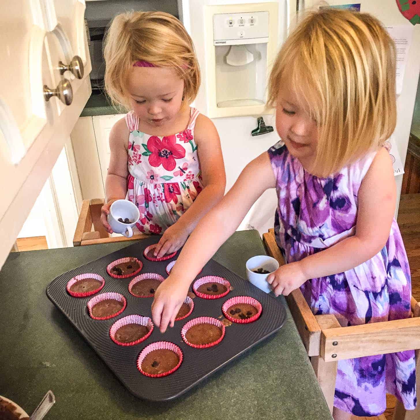 Double Chocolate Rye Muffins