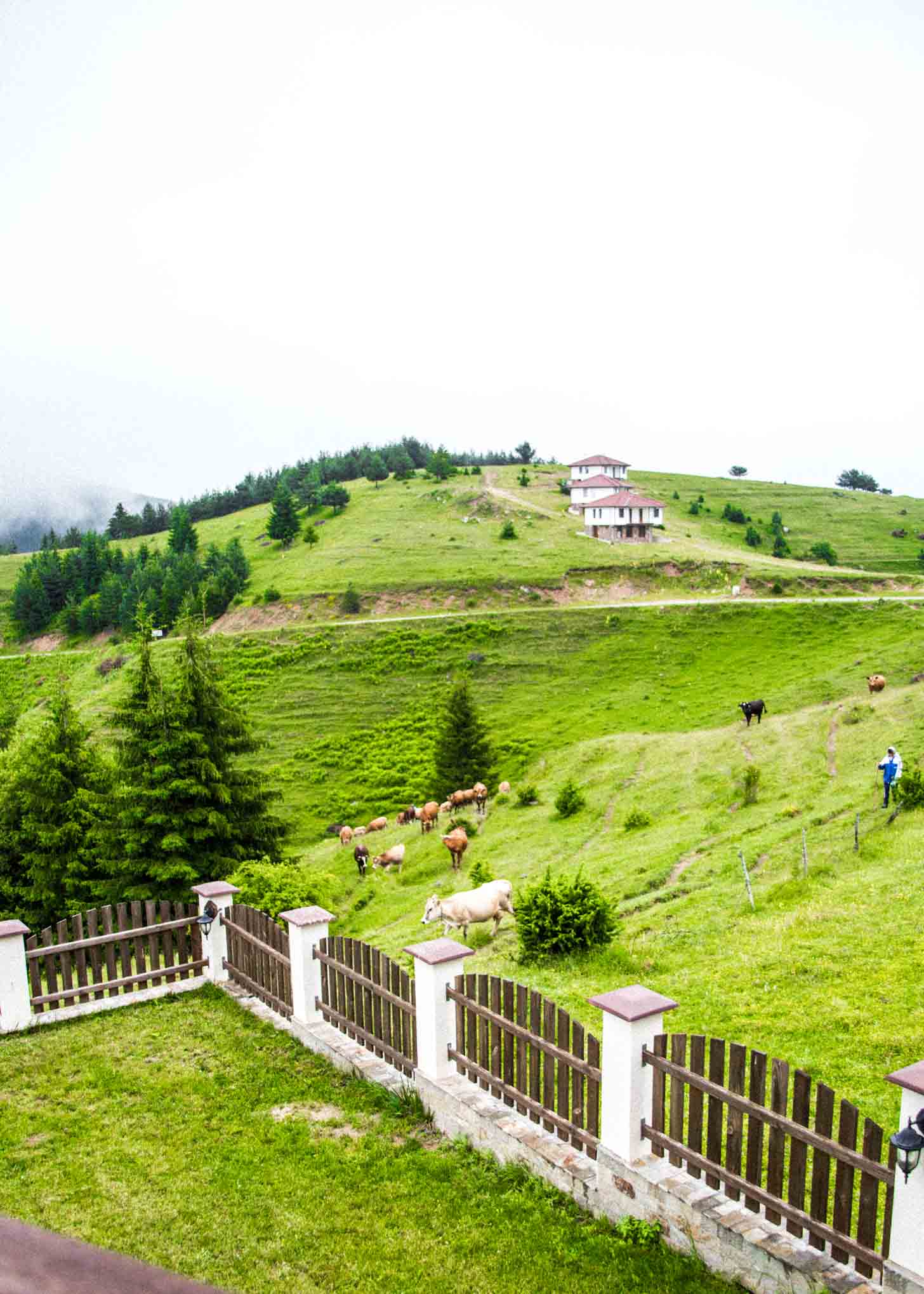 Rhodope Mountains Bulgaria