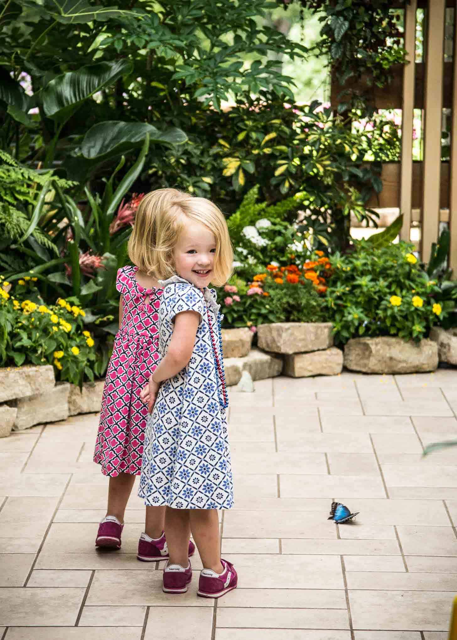 Molly and Clara Butterflies