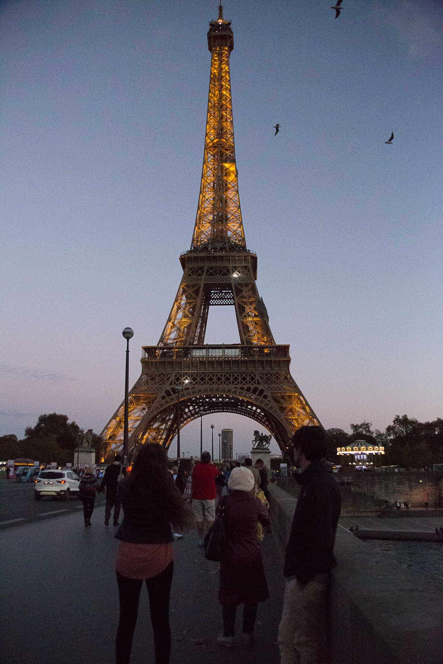 the Eiffel Tower lit at night