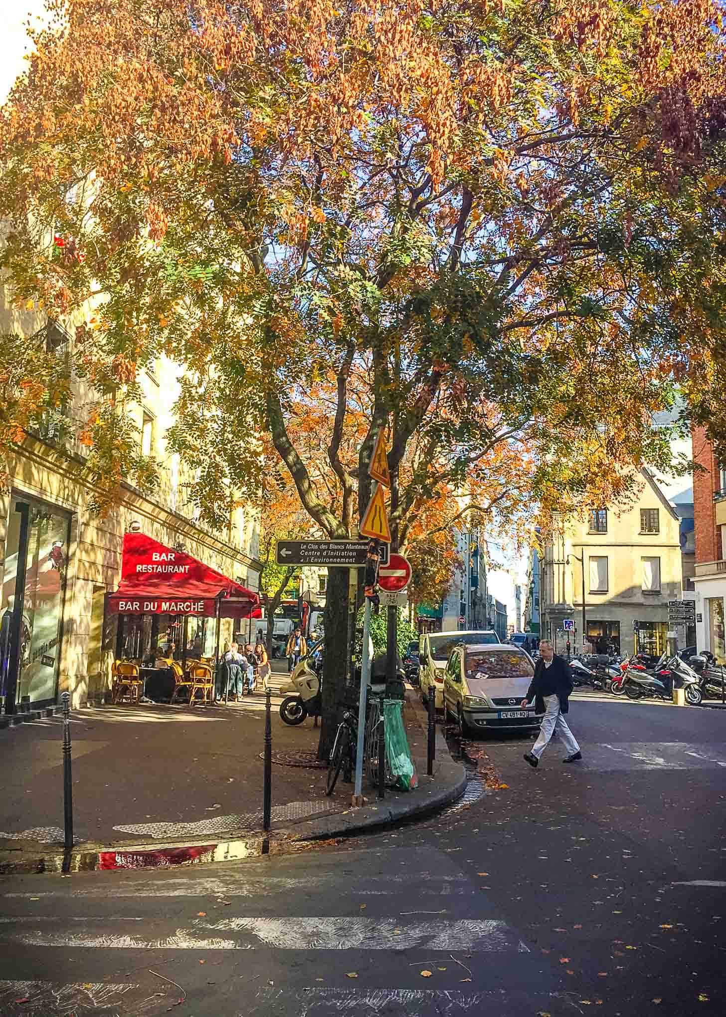 a tree lined Paris street