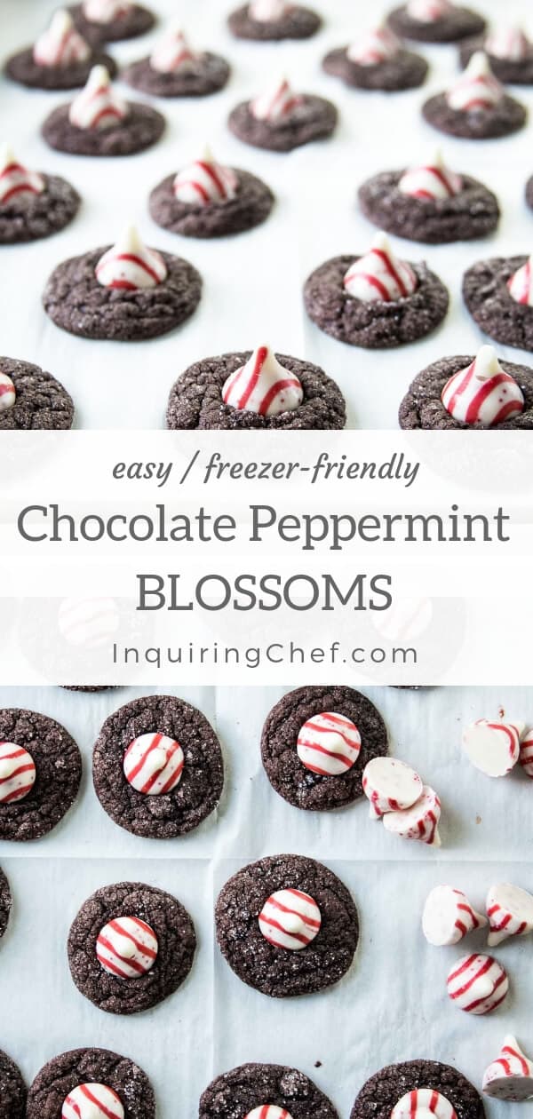 Chocolate Peppermint Blossom Cookies