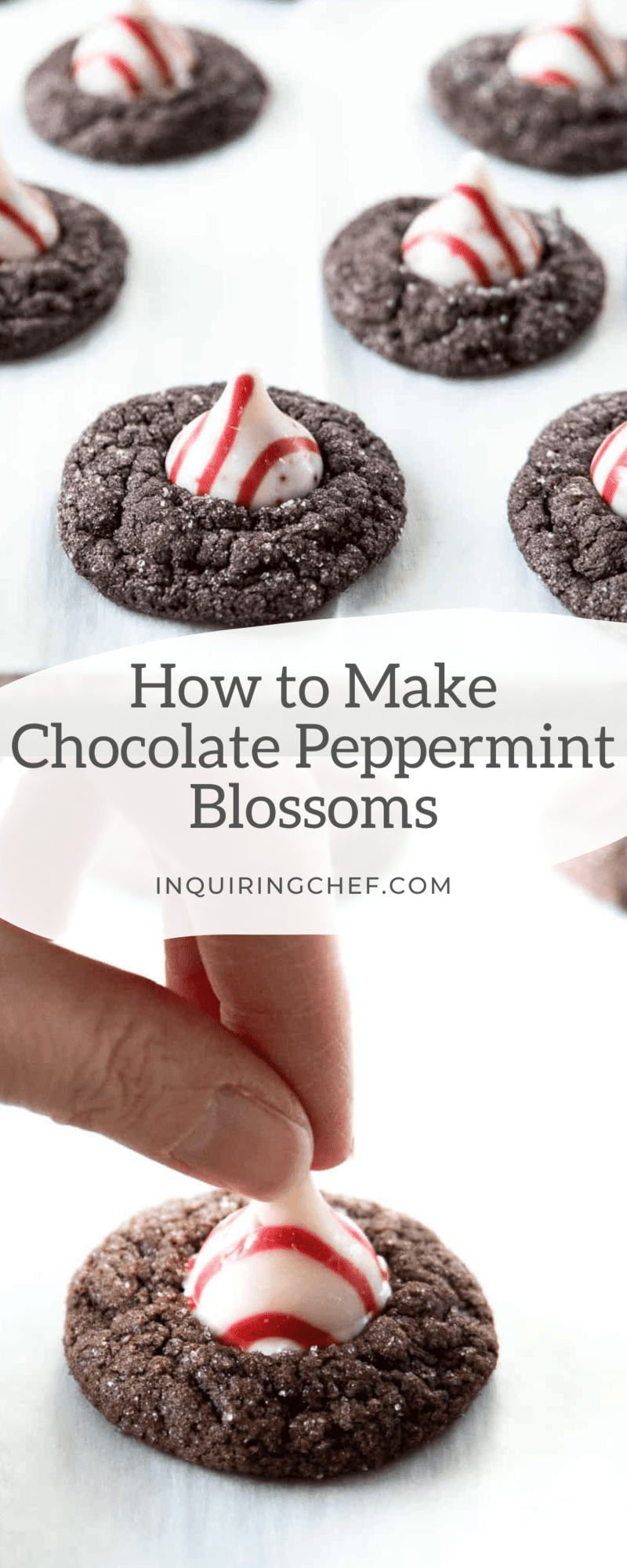 chocolate peppermint blossoms