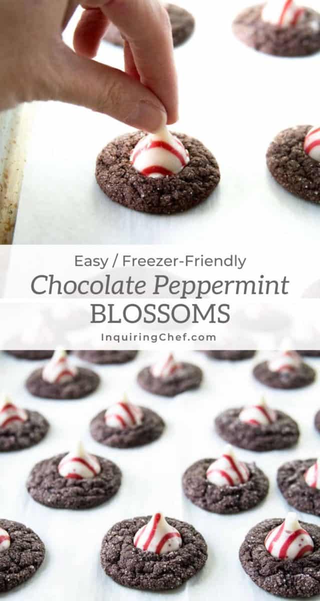 chocolate peppermint blossoms