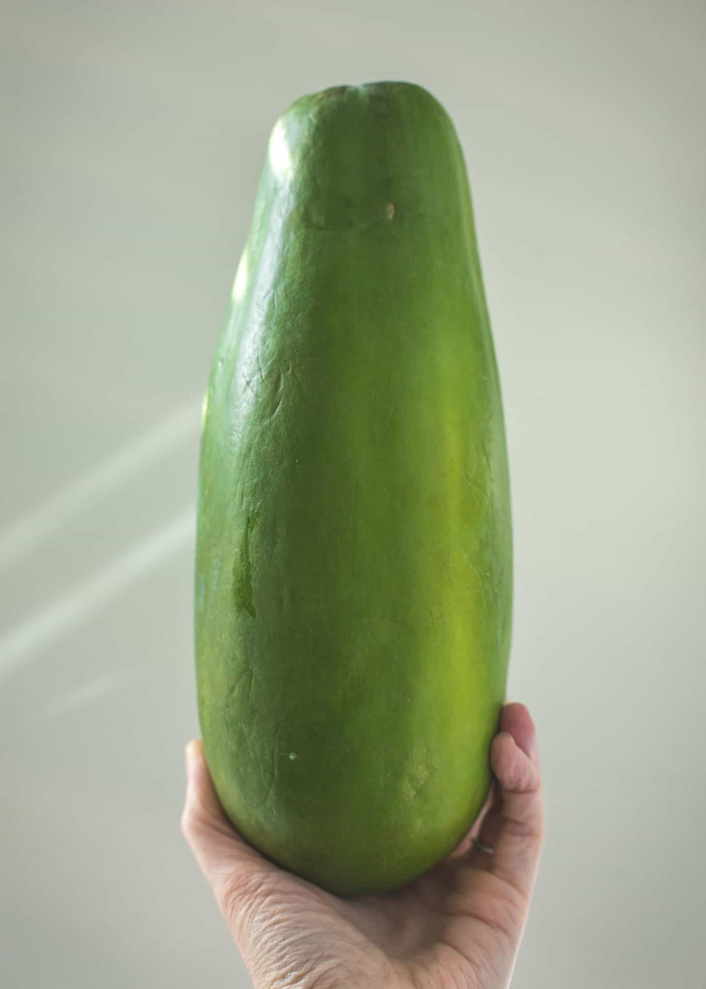 a hand holding a Green papaya 