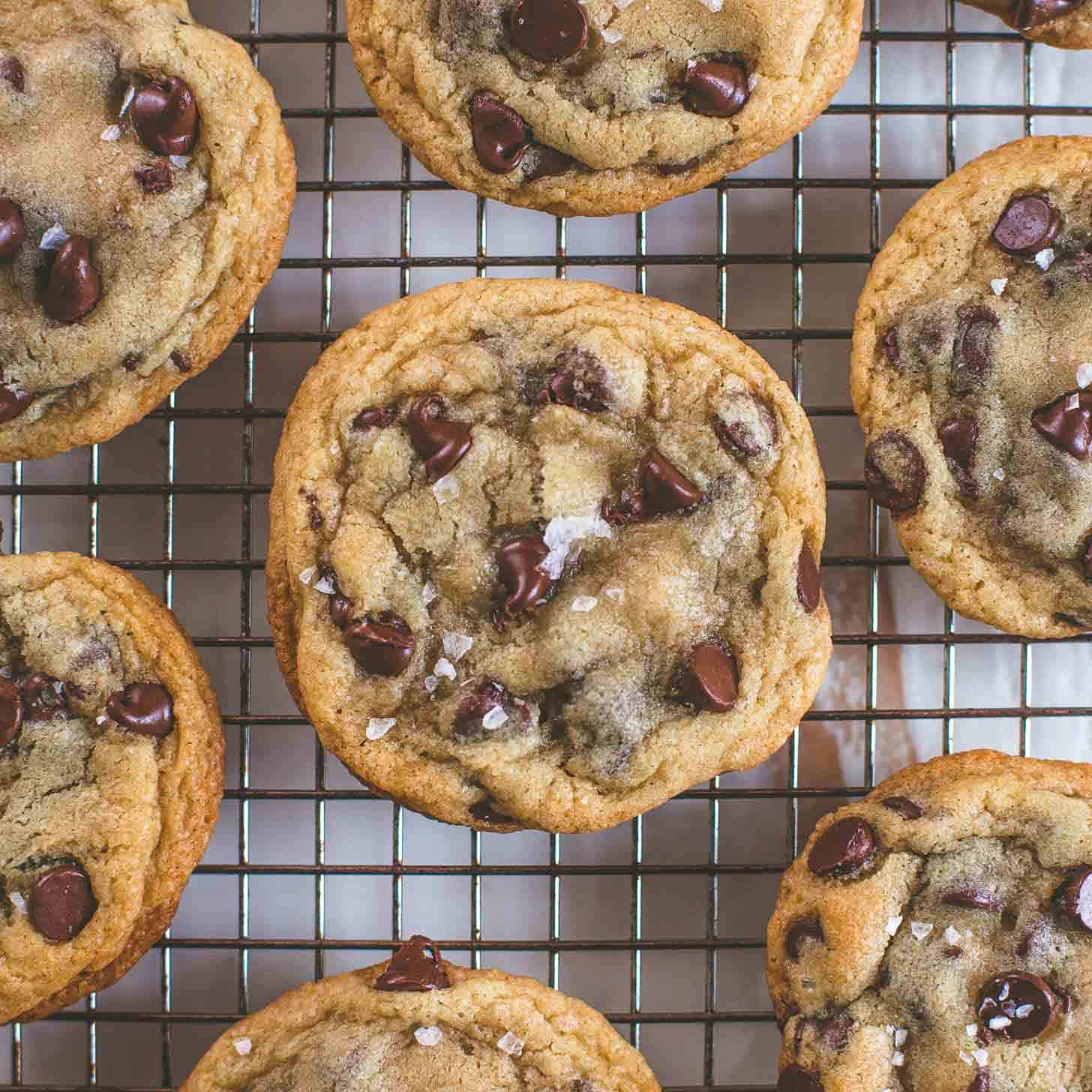 gooey chocolate chip cookies