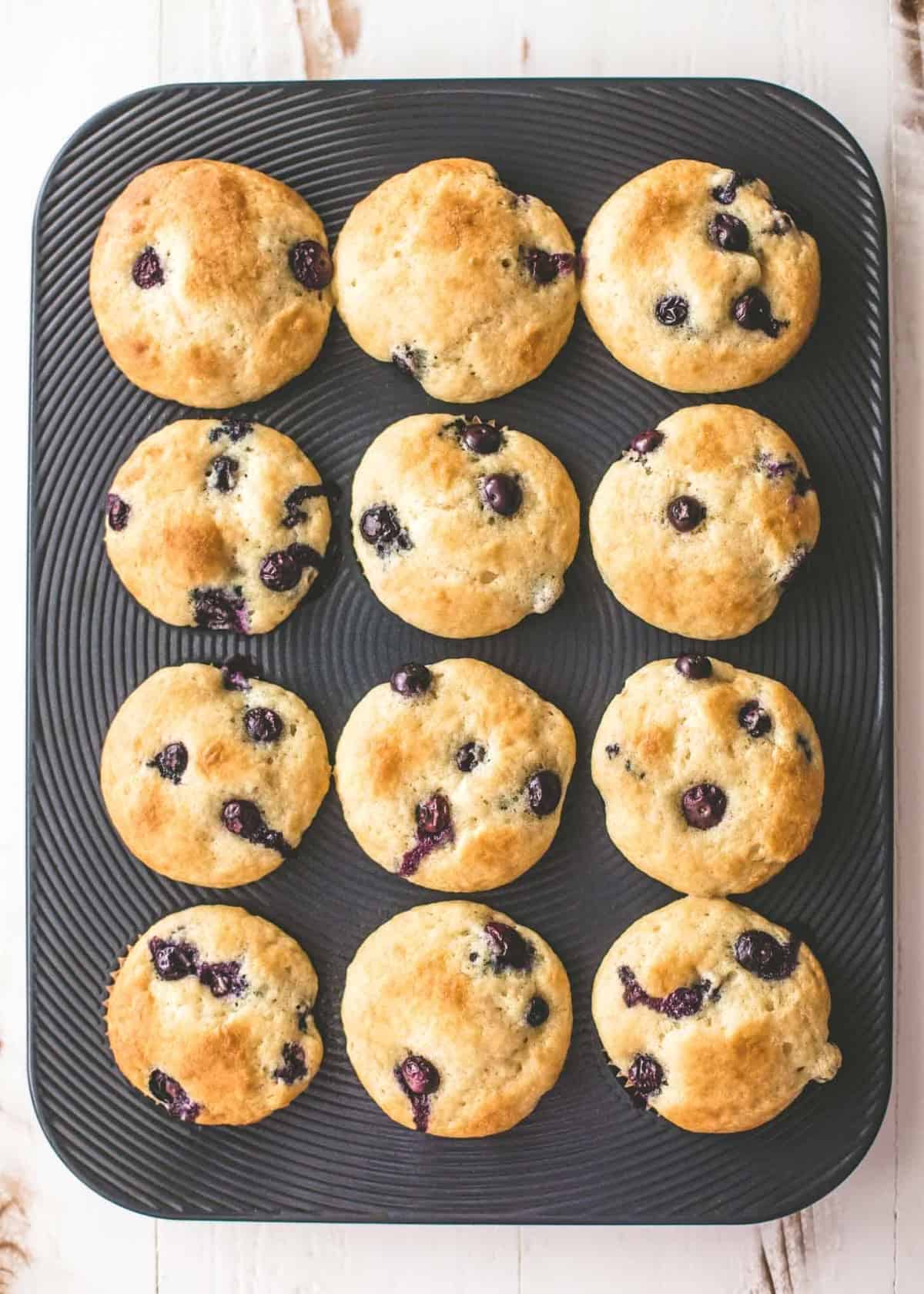 Blueberry Yogurt Muffins in a muffin tin from above