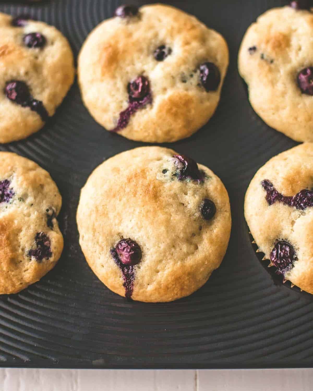 Blueberry Yogurt Muffins in a muffin tin