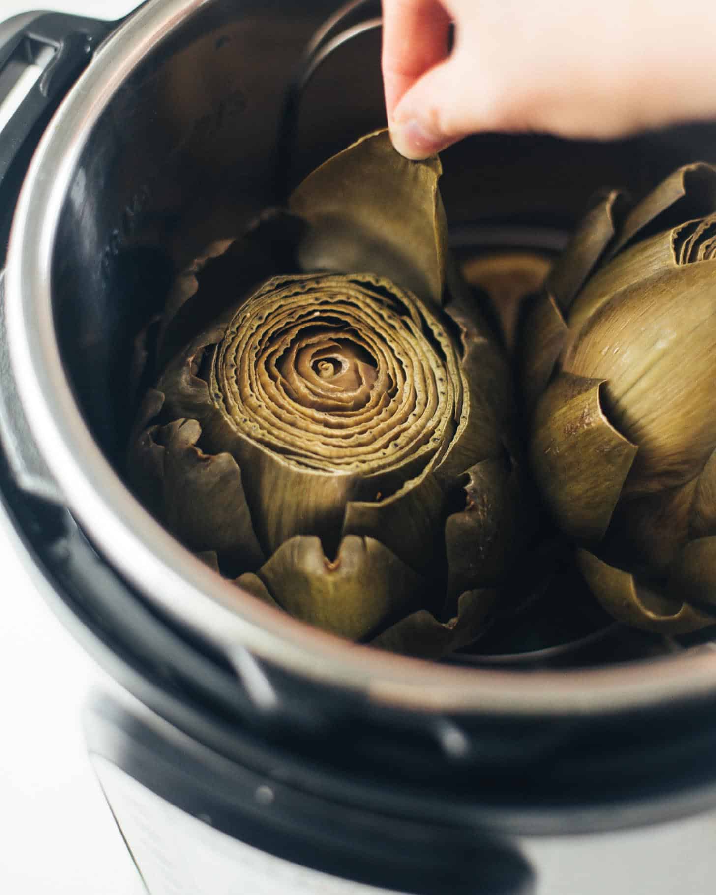 pulling a leaf off of a steamed artichoke in an instant pot