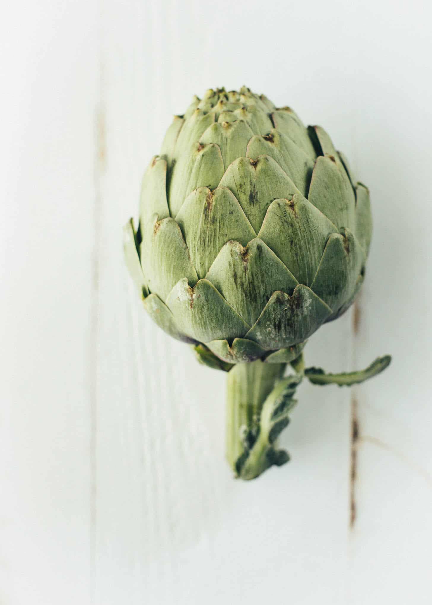 artichoke lying on a white table