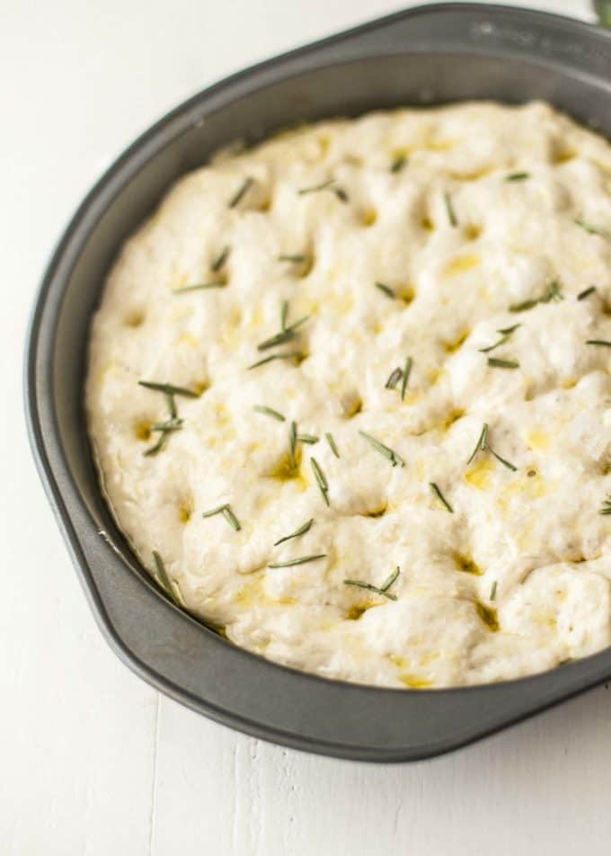 no-knead focaccia dough in a round pan, topped with rosemary