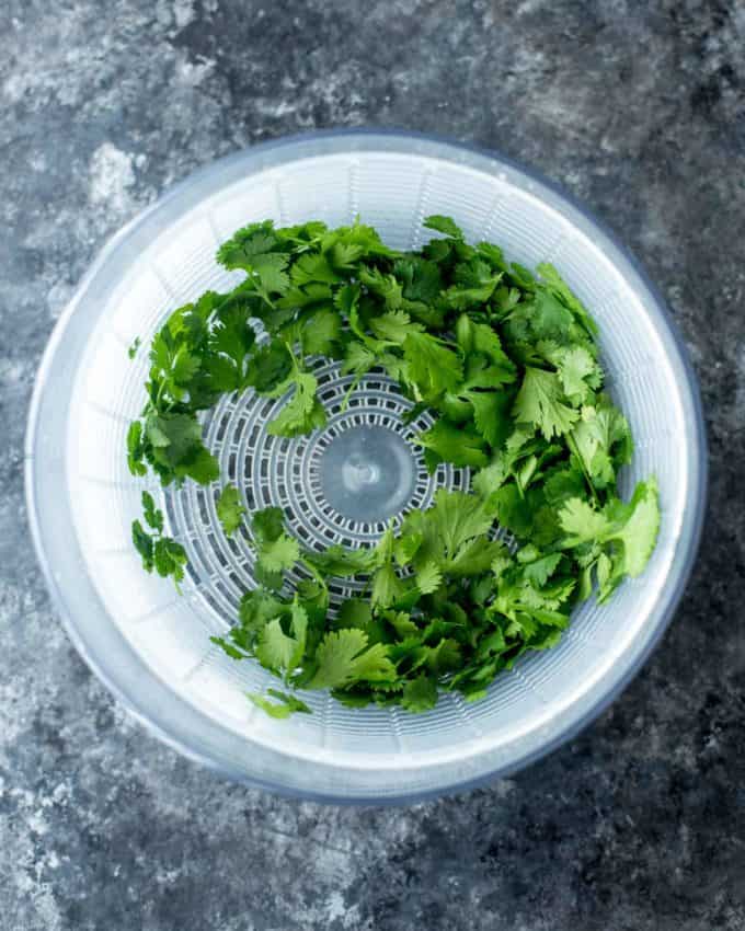 cilantro leaves in a salad spinner