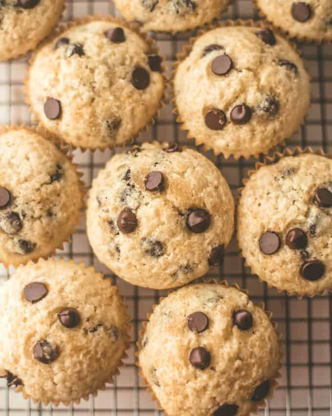 chocolate chip muffins on a cooling rack