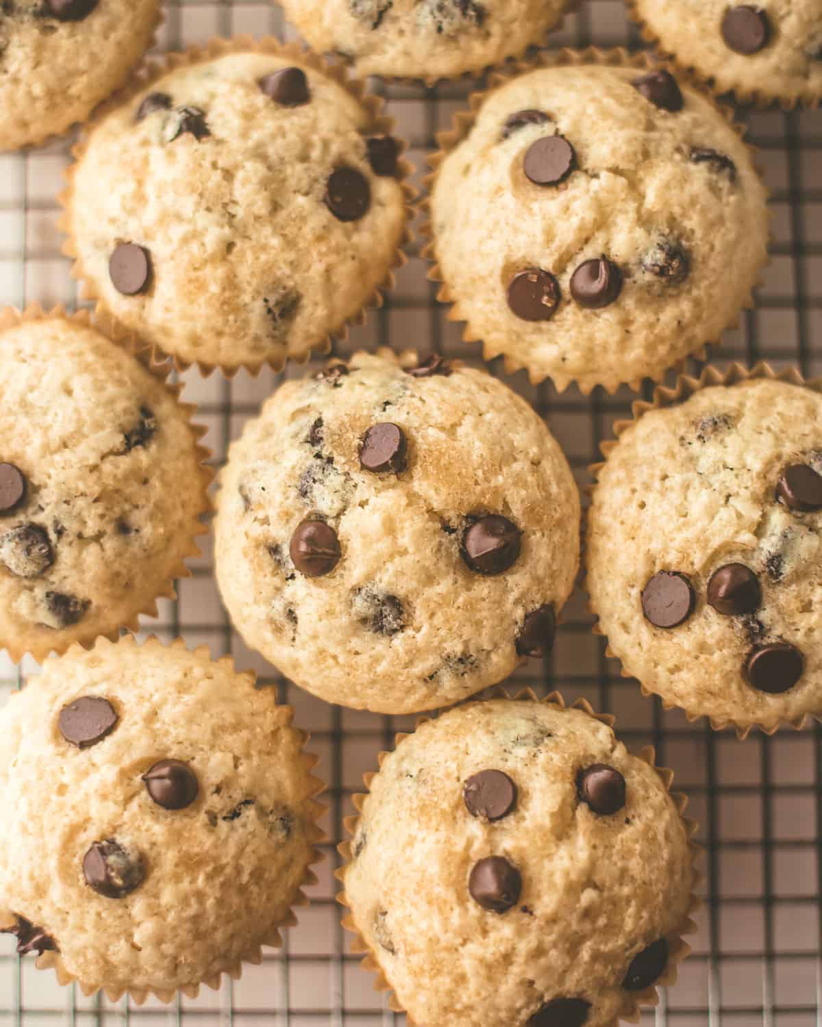 overhead image of muffins on a cooling rack