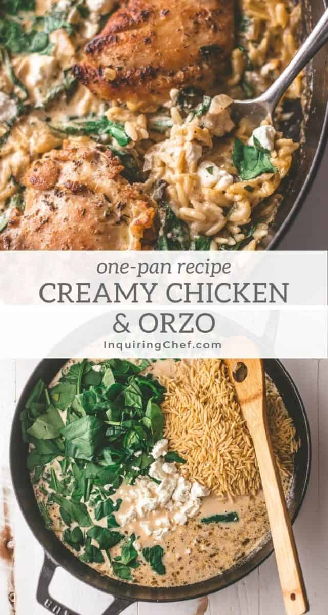 creamy chicken and orzo