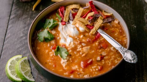 Instant Pot Tex Mex Chicken and Brown Rice Stew