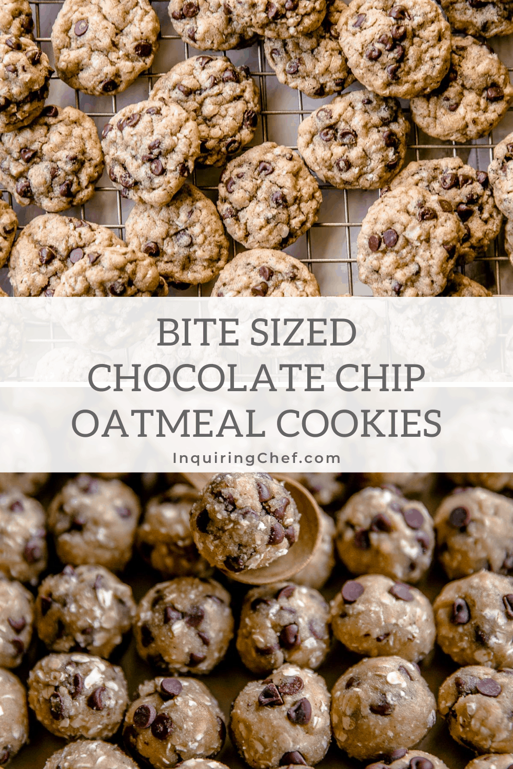 bite sized chocolate chip oatmeal cookies