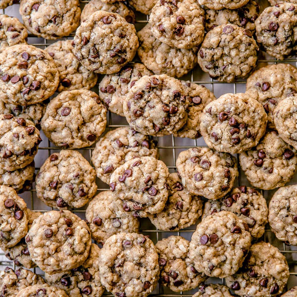 bite sized chocolate chip oatmeal cookies on a sheet pan