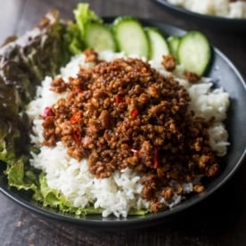 pork and rice bowls