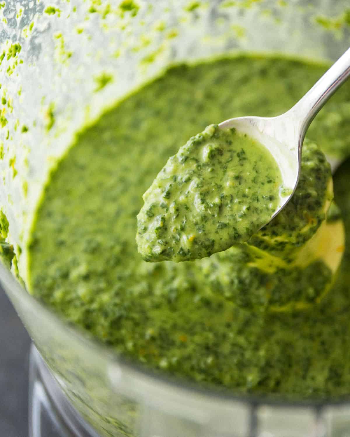 a spoonful of citrus salsa verde in a food processor