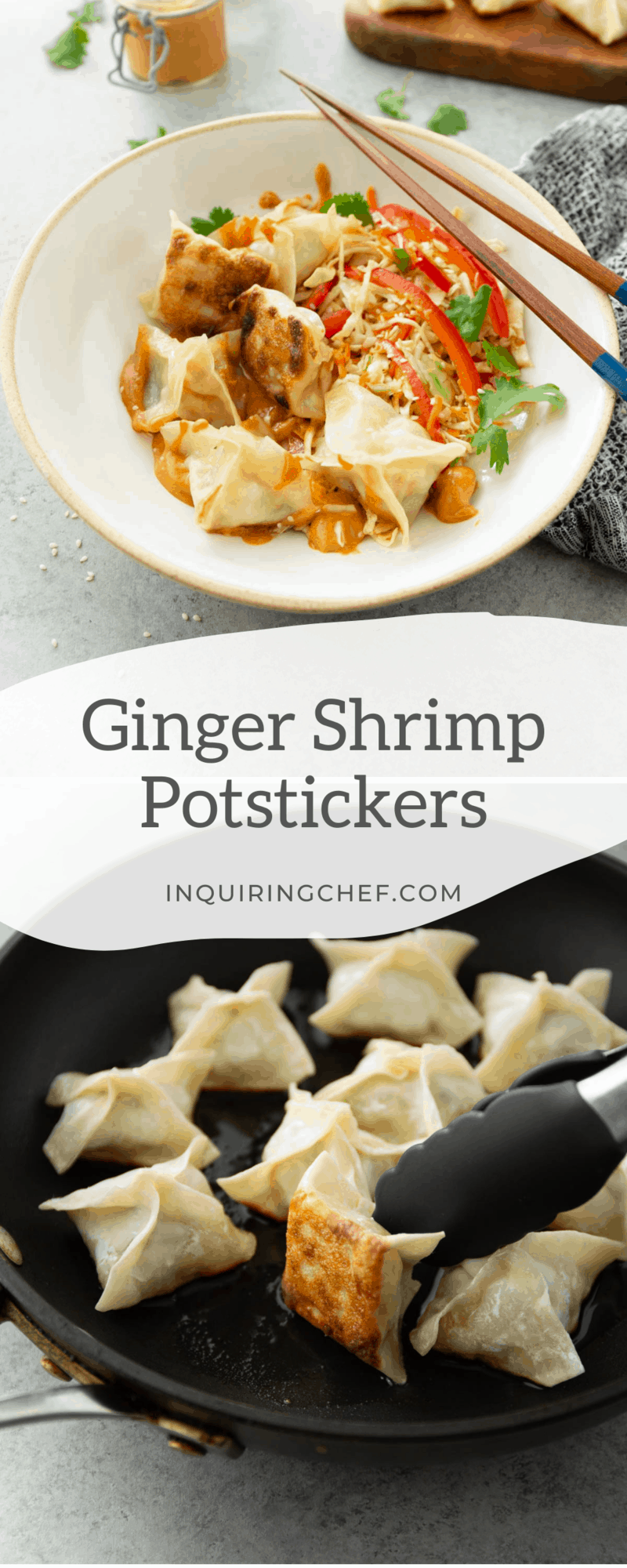 shrimp potstickers