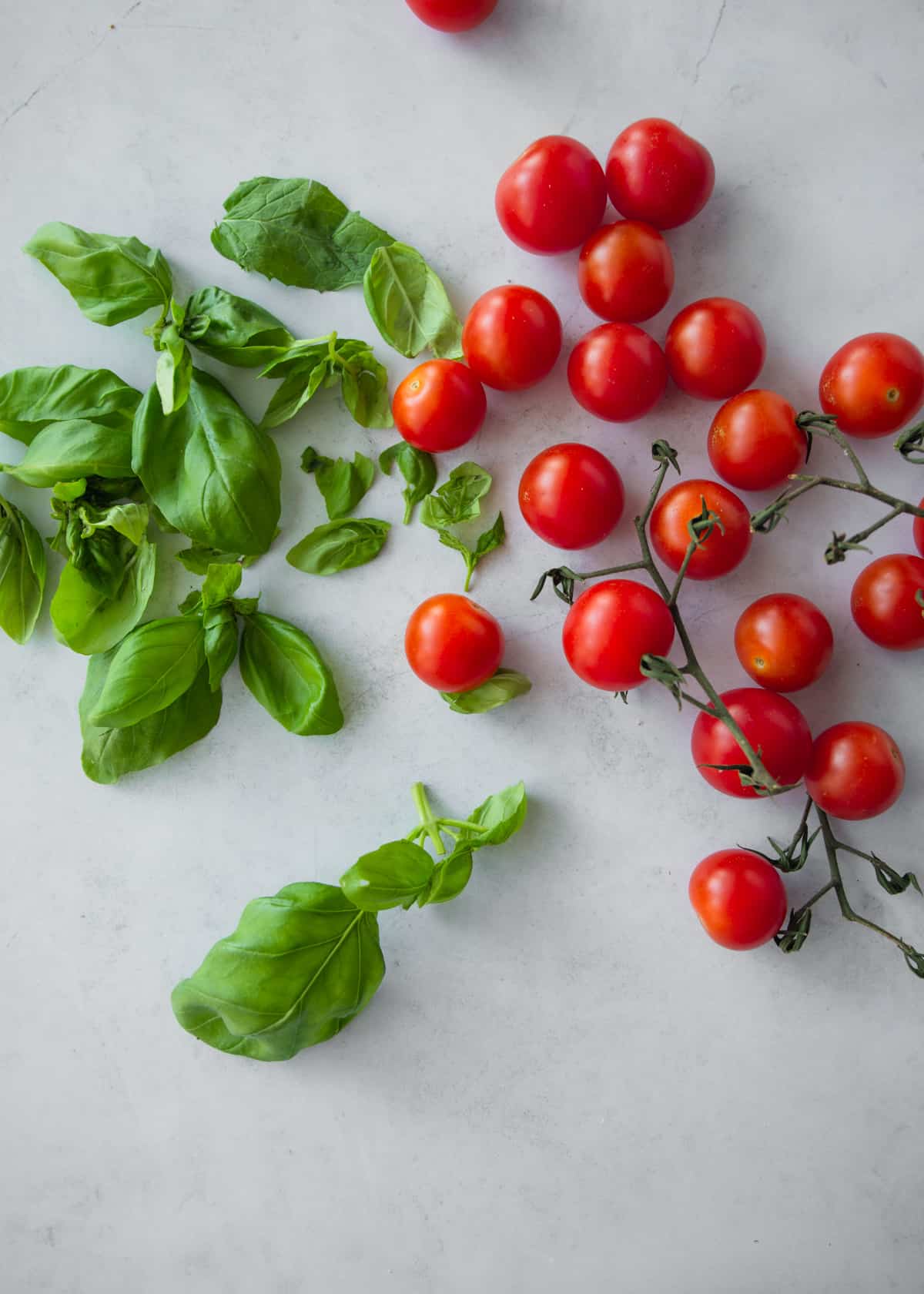 basil and cherry tomatoes on a grey countertop