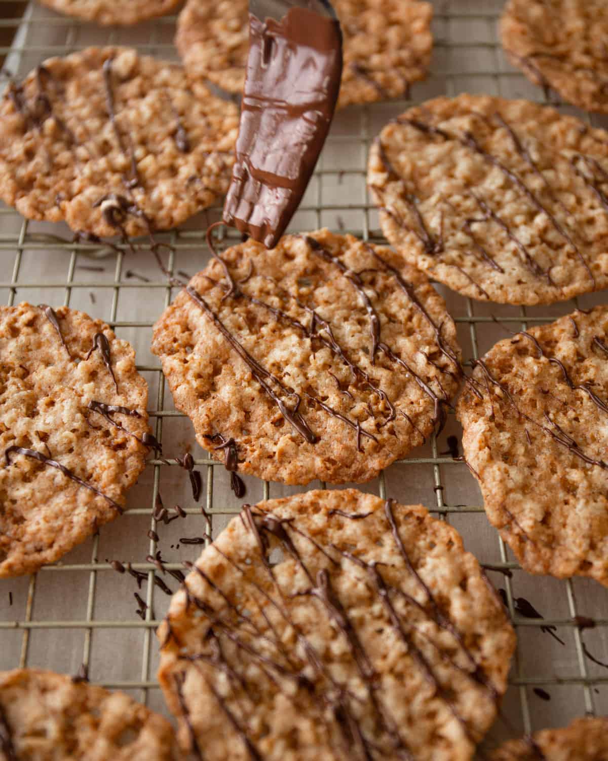 drizzling dark chocolate on oatmeal lace cookies