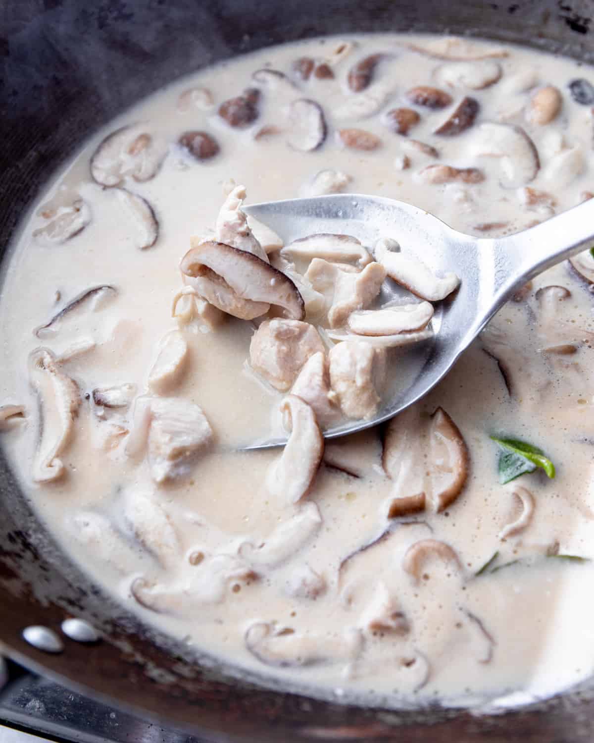 a large spoon in thai mushroom soup