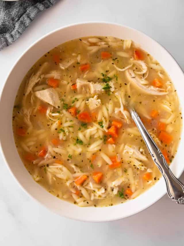 Easy Instant Pot Lemon Chicken and Orzo Soup Recipe Inquiring Chef