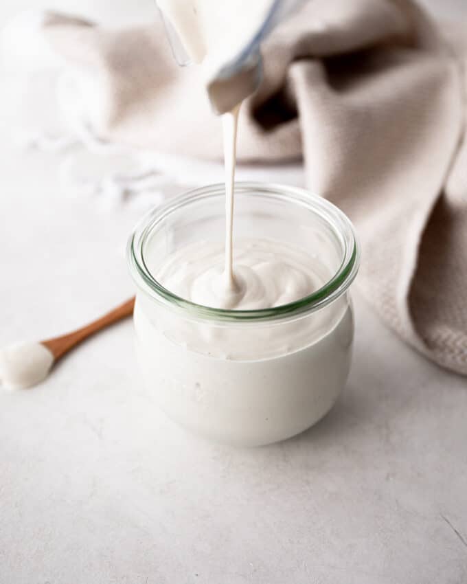 Cashew Cream Sauce Recipe