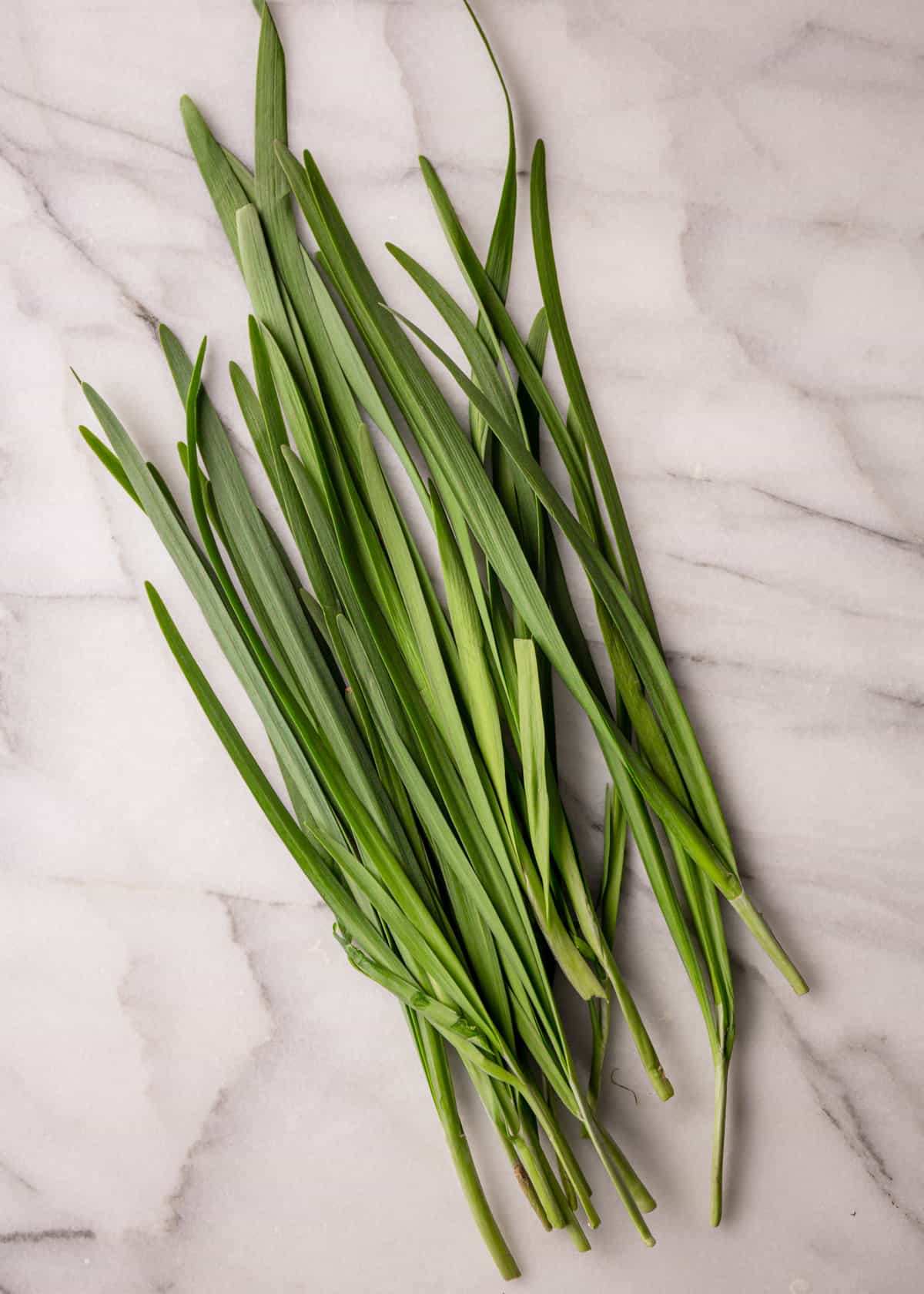 chinese chives on a grey countertop