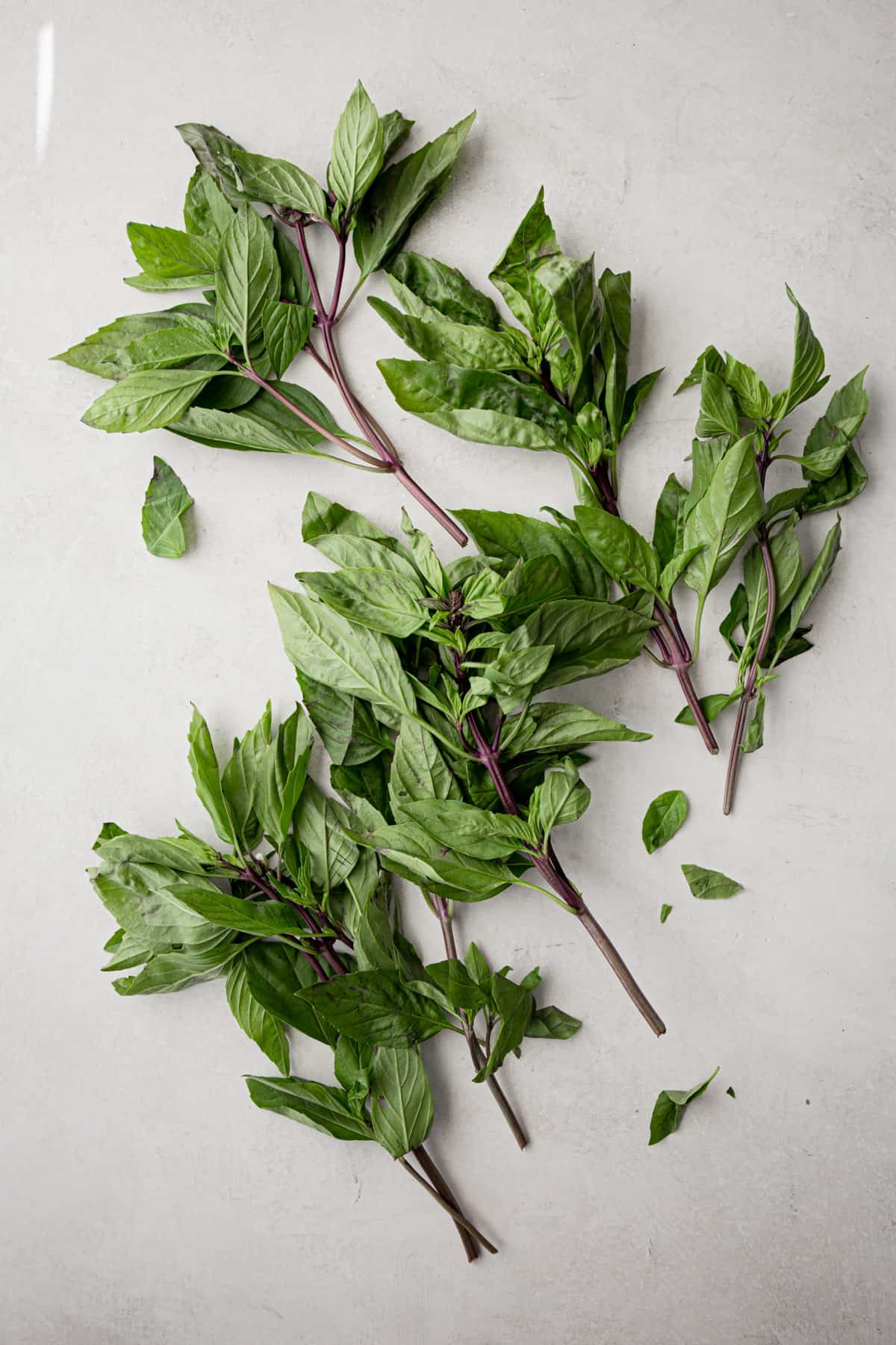 fresh thai basil on a grey countertop