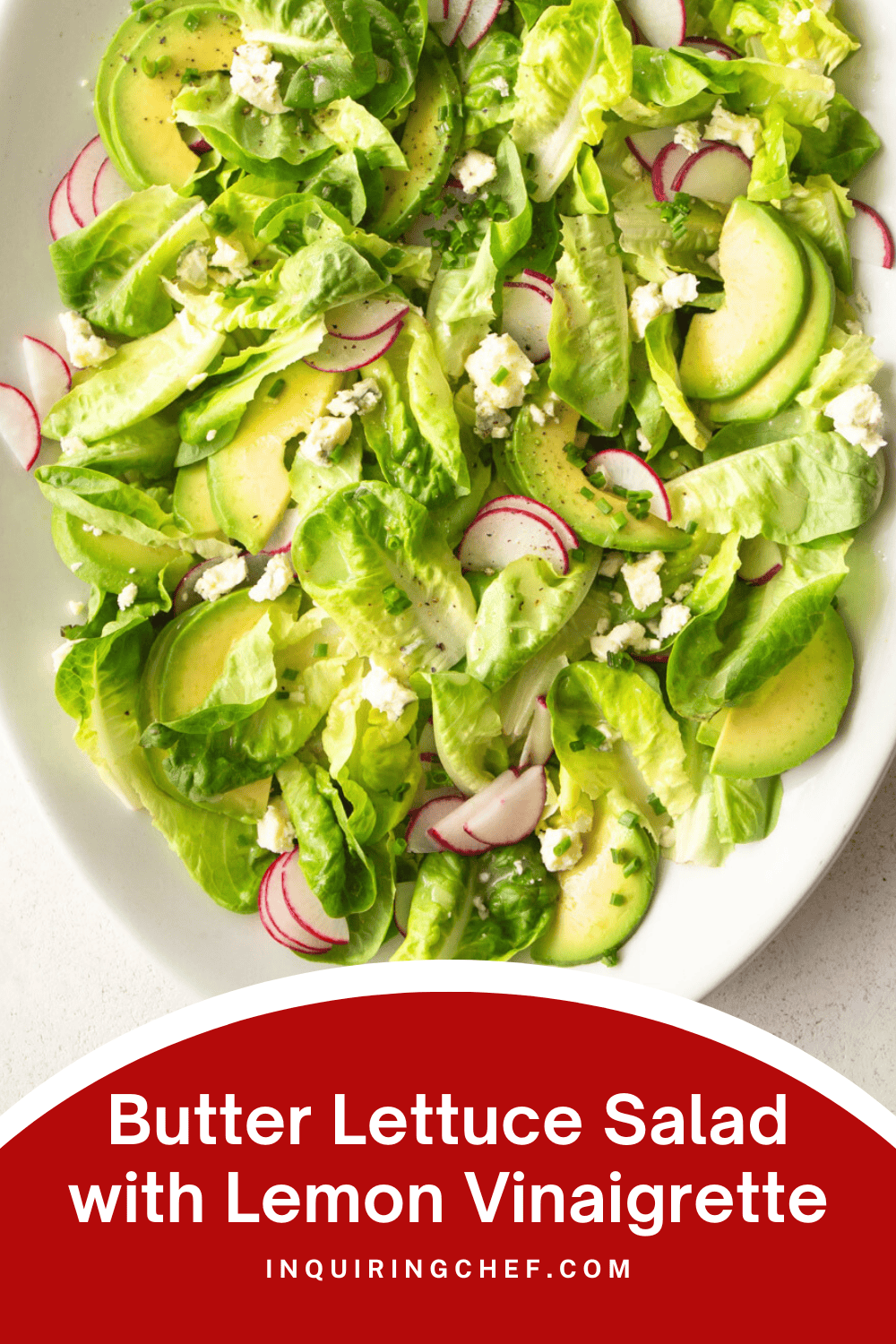 butter lettuce salad