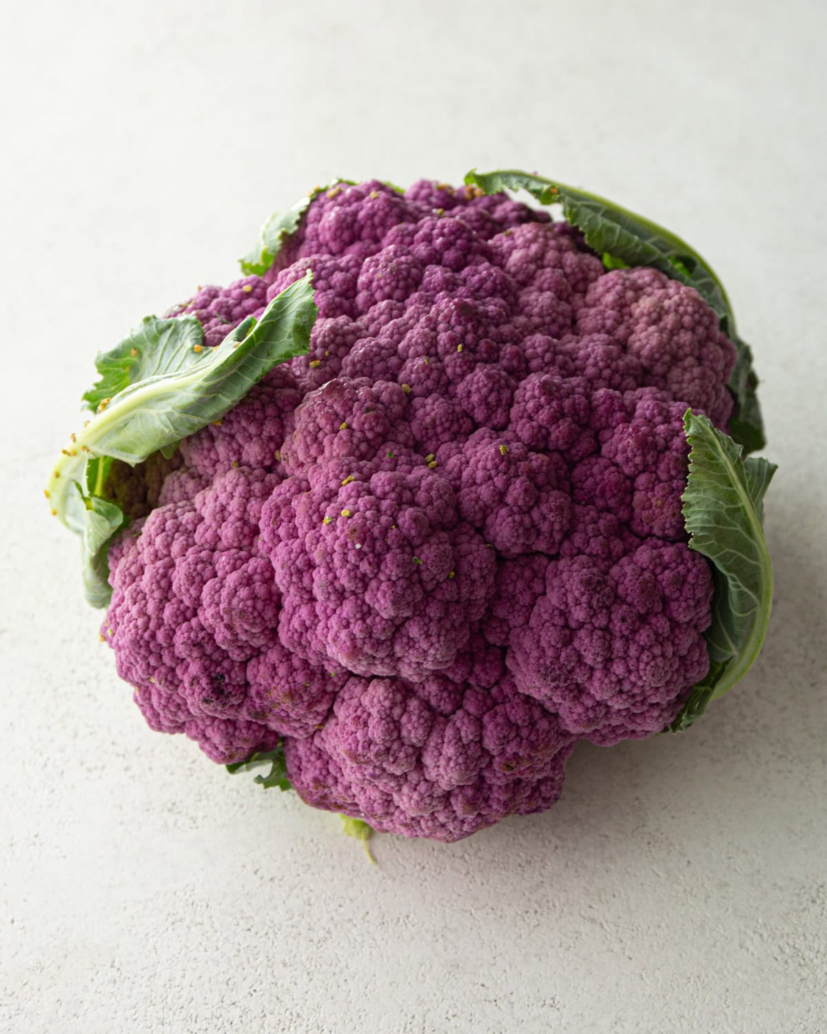 a head of purple cauliflower on a grey countertop