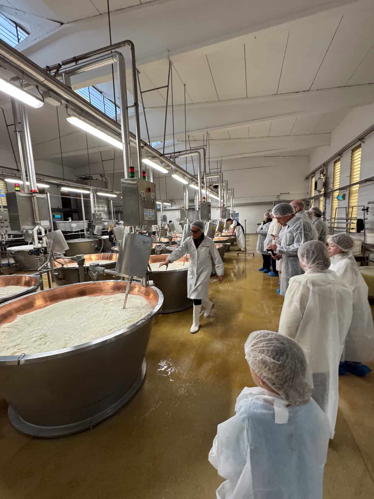 large bronze vats of milk being separated to make Parmigiano Reggiano while a group of tourists observes