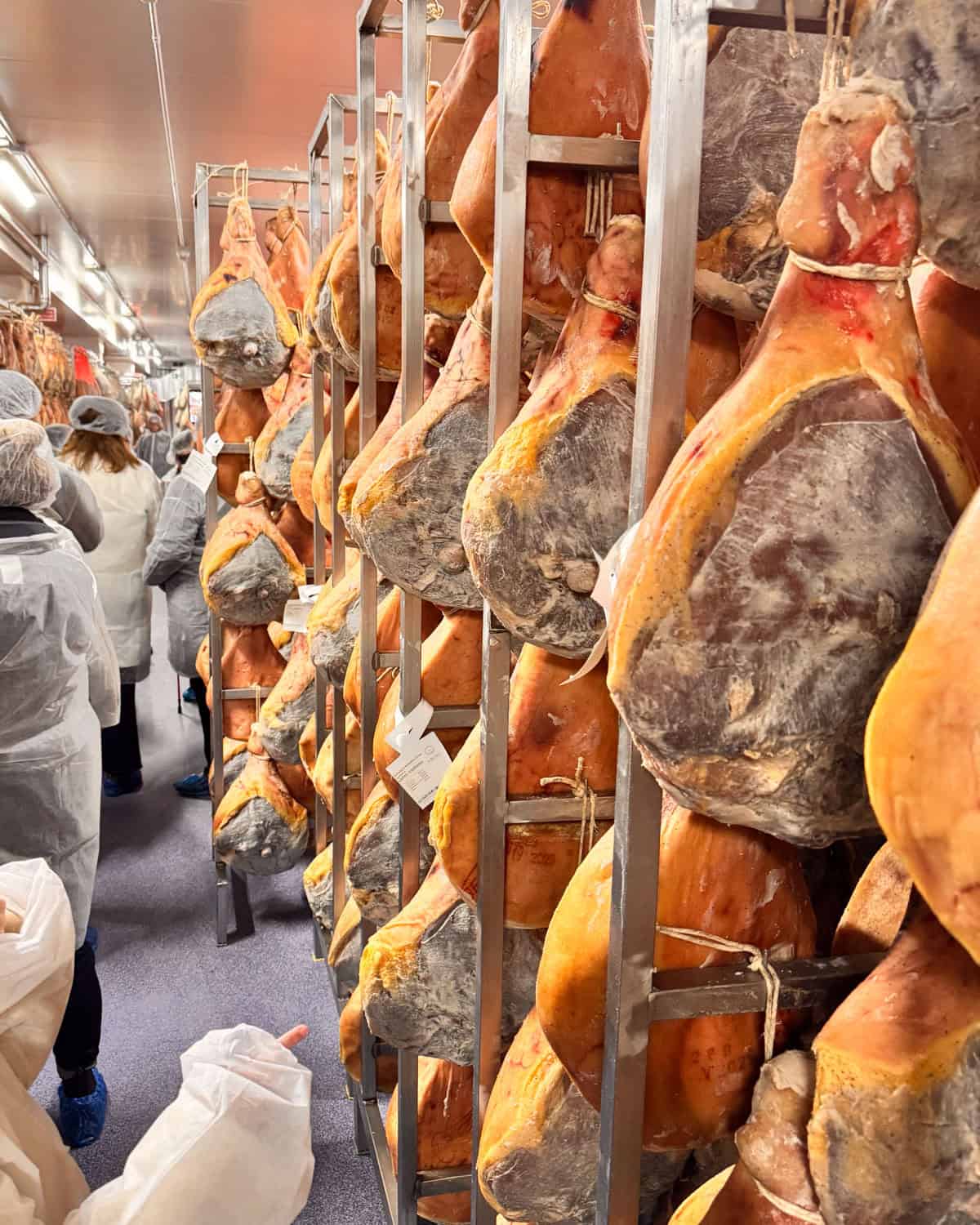 a tour group of people in protective apparel, walking past rows of aging legs of prosciutto